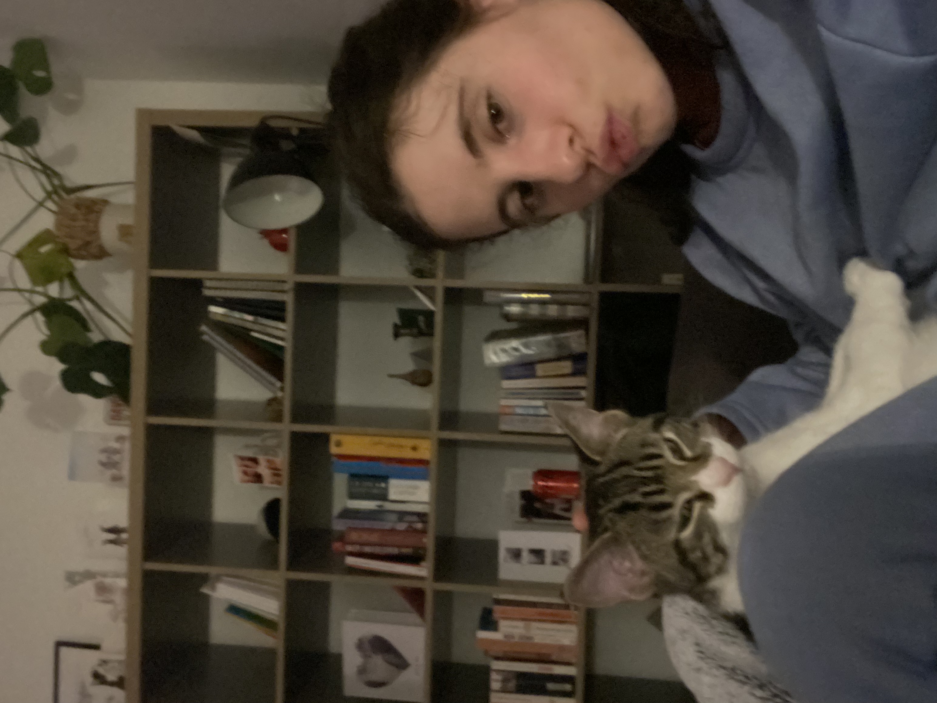 image-8