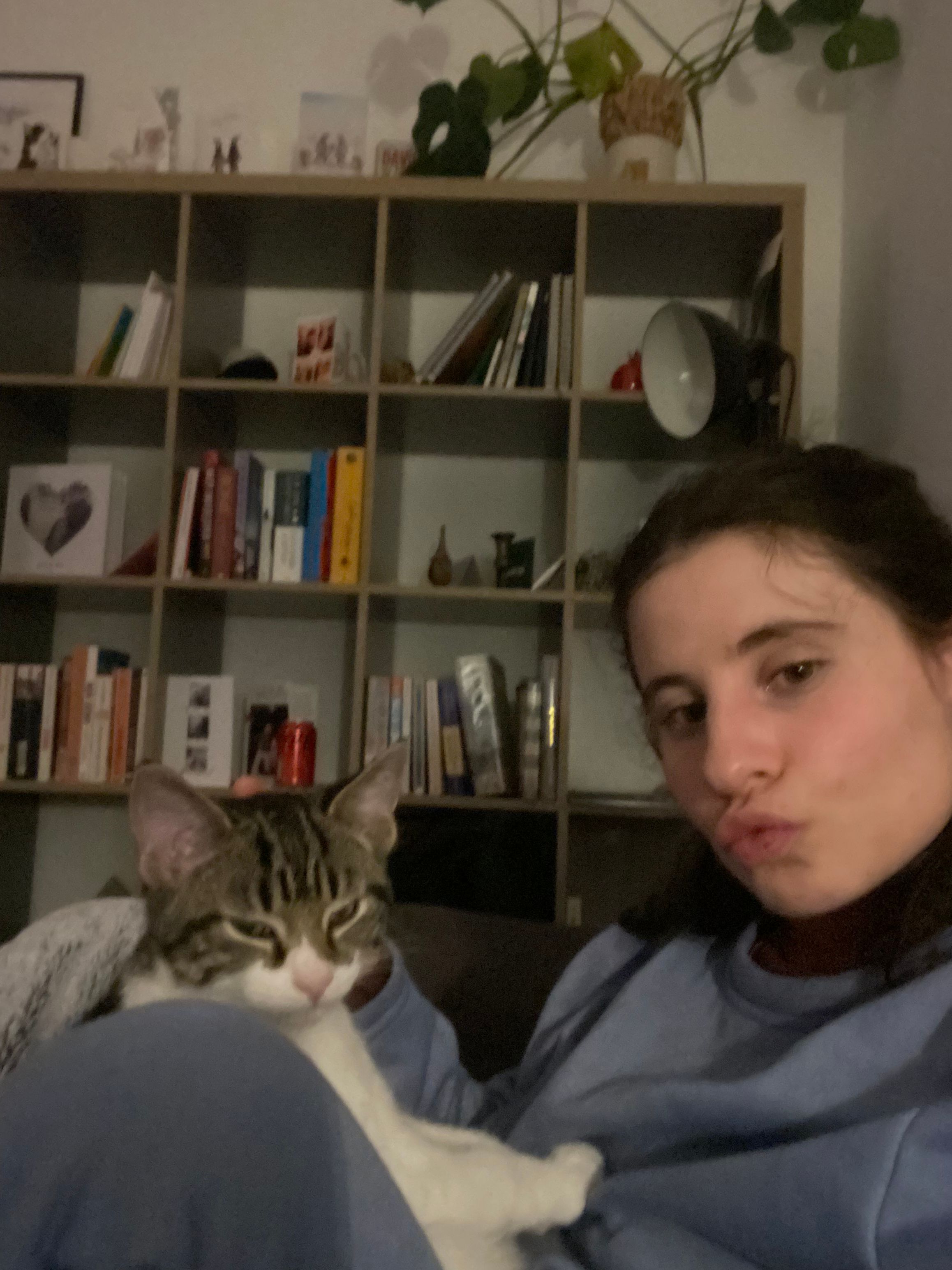 image-8