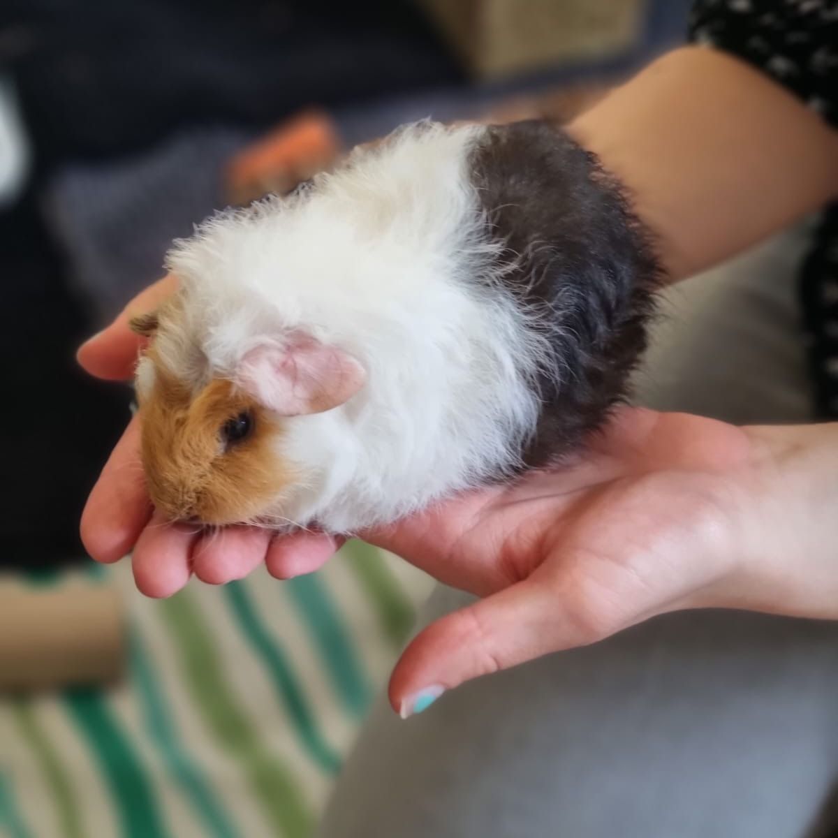Pixel