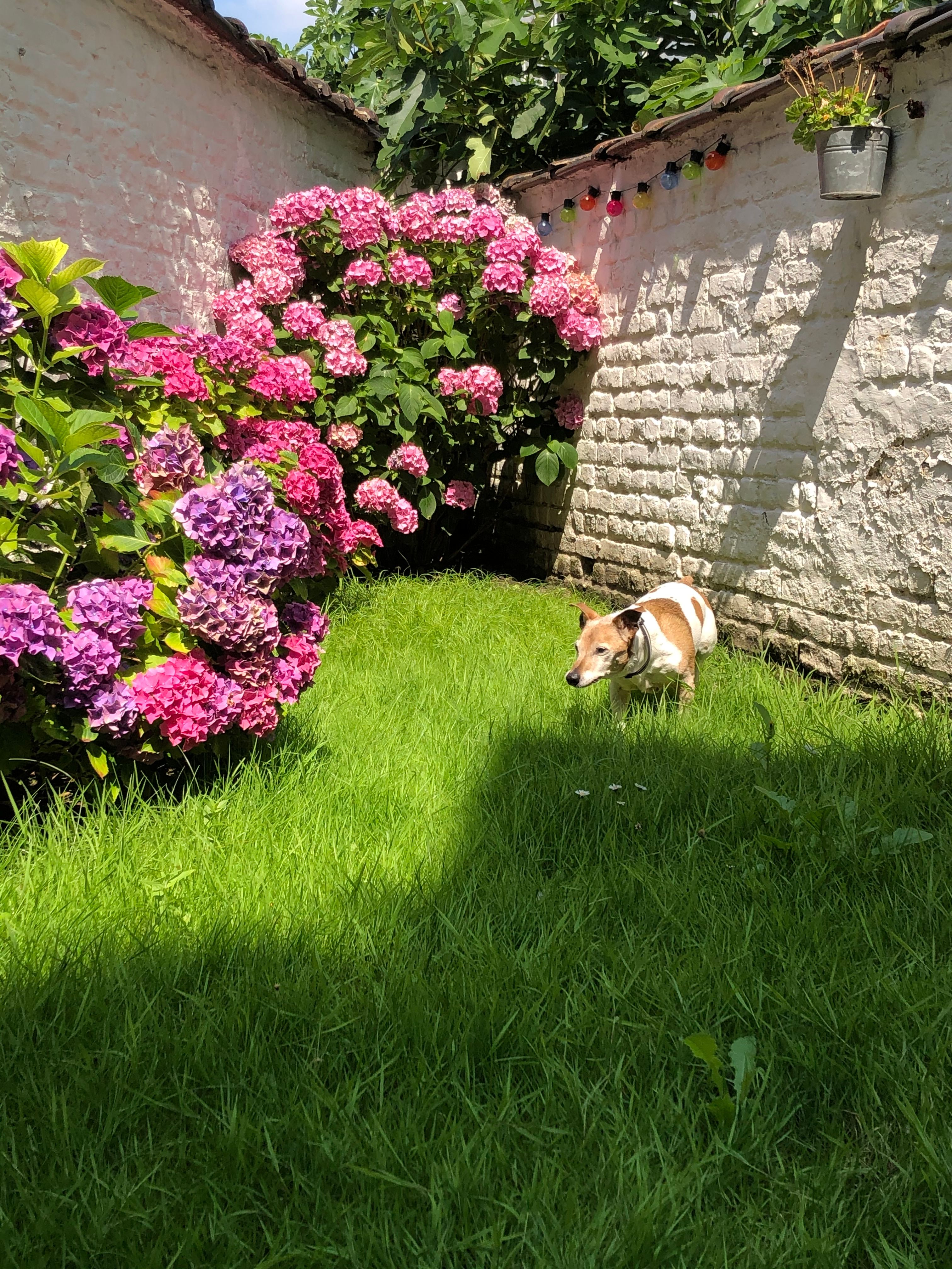 image-42