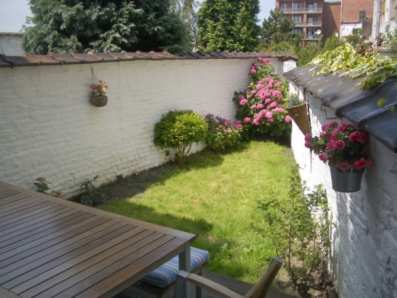 image-36