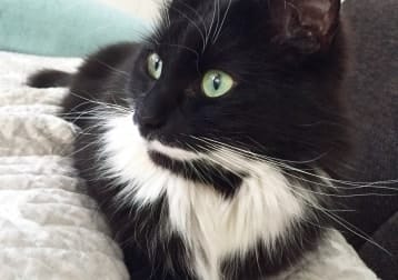 Kira
