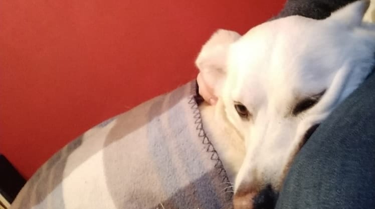 image-1