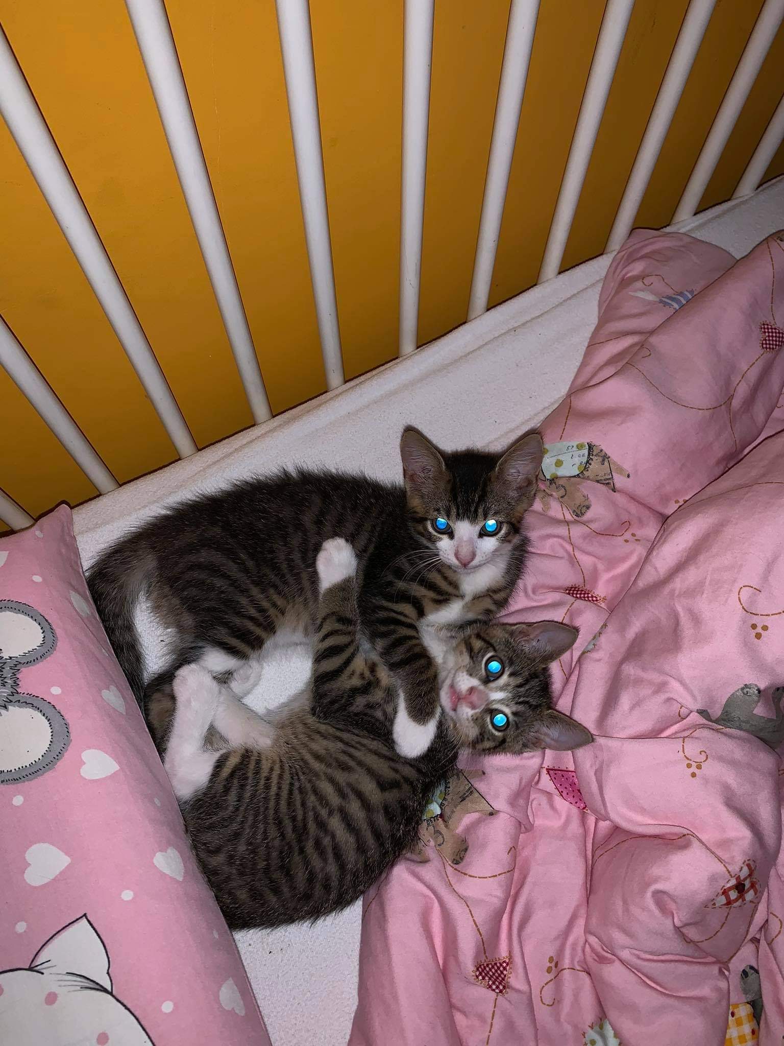 image-9