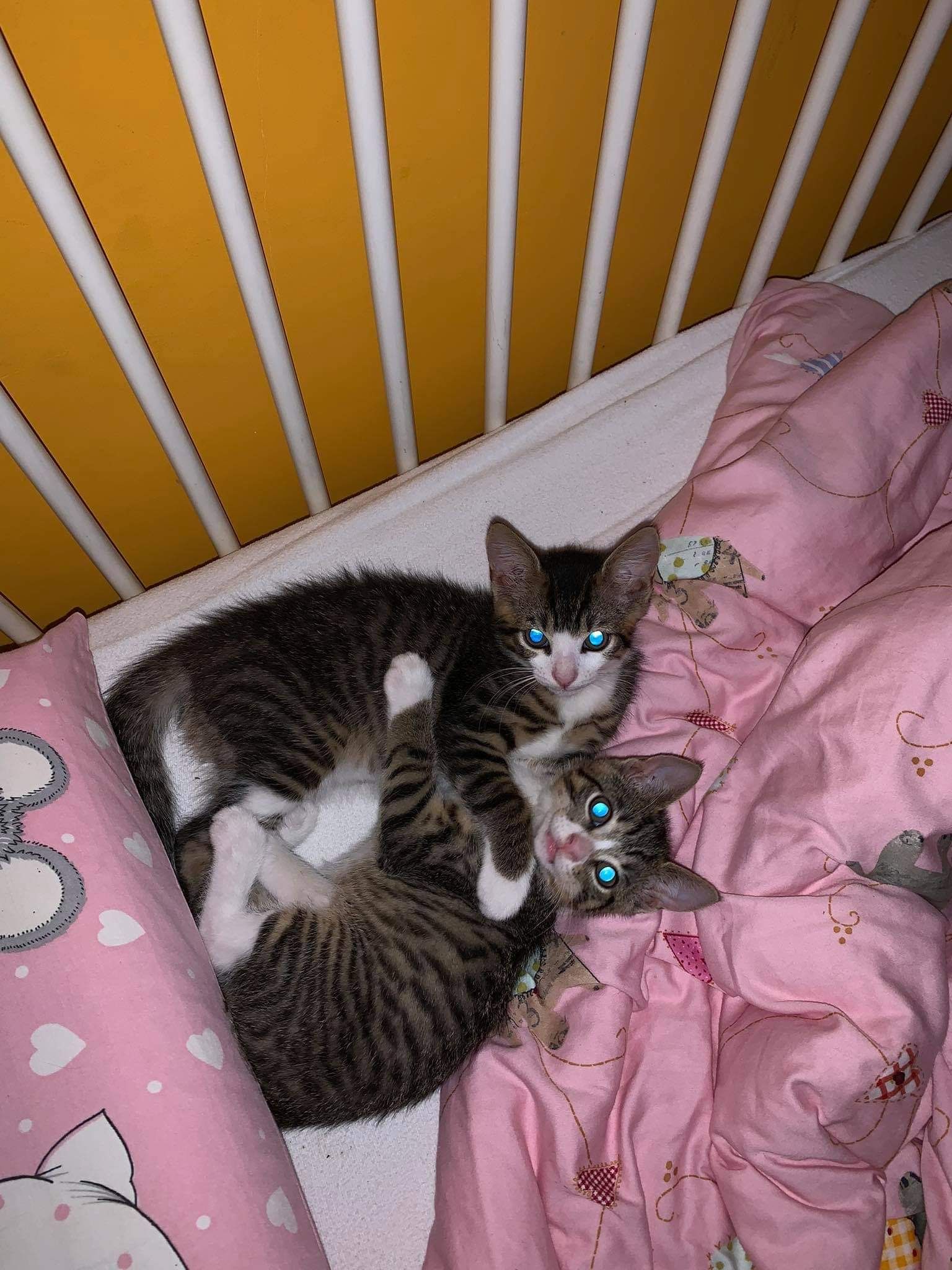 image-9