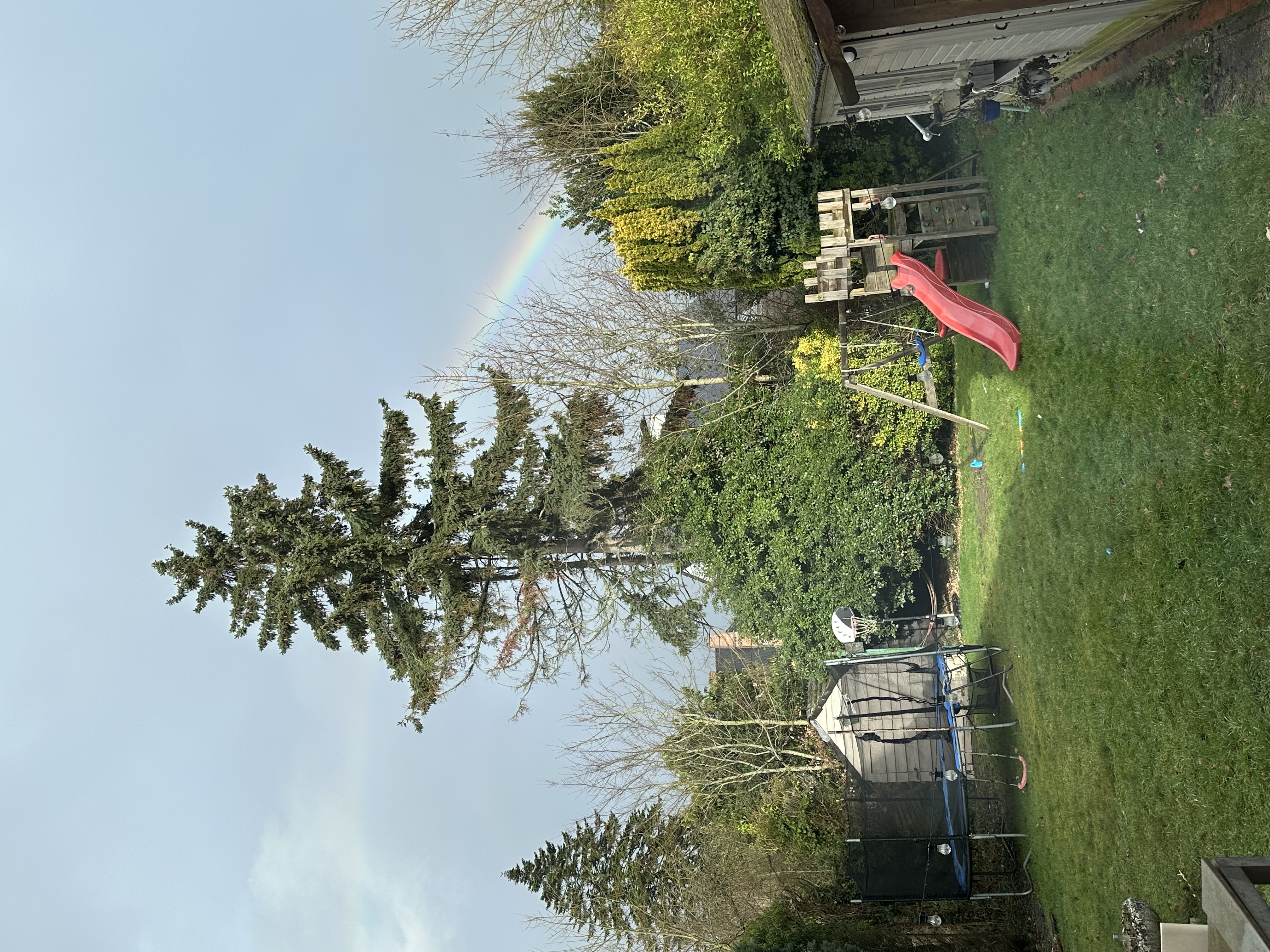 image-16