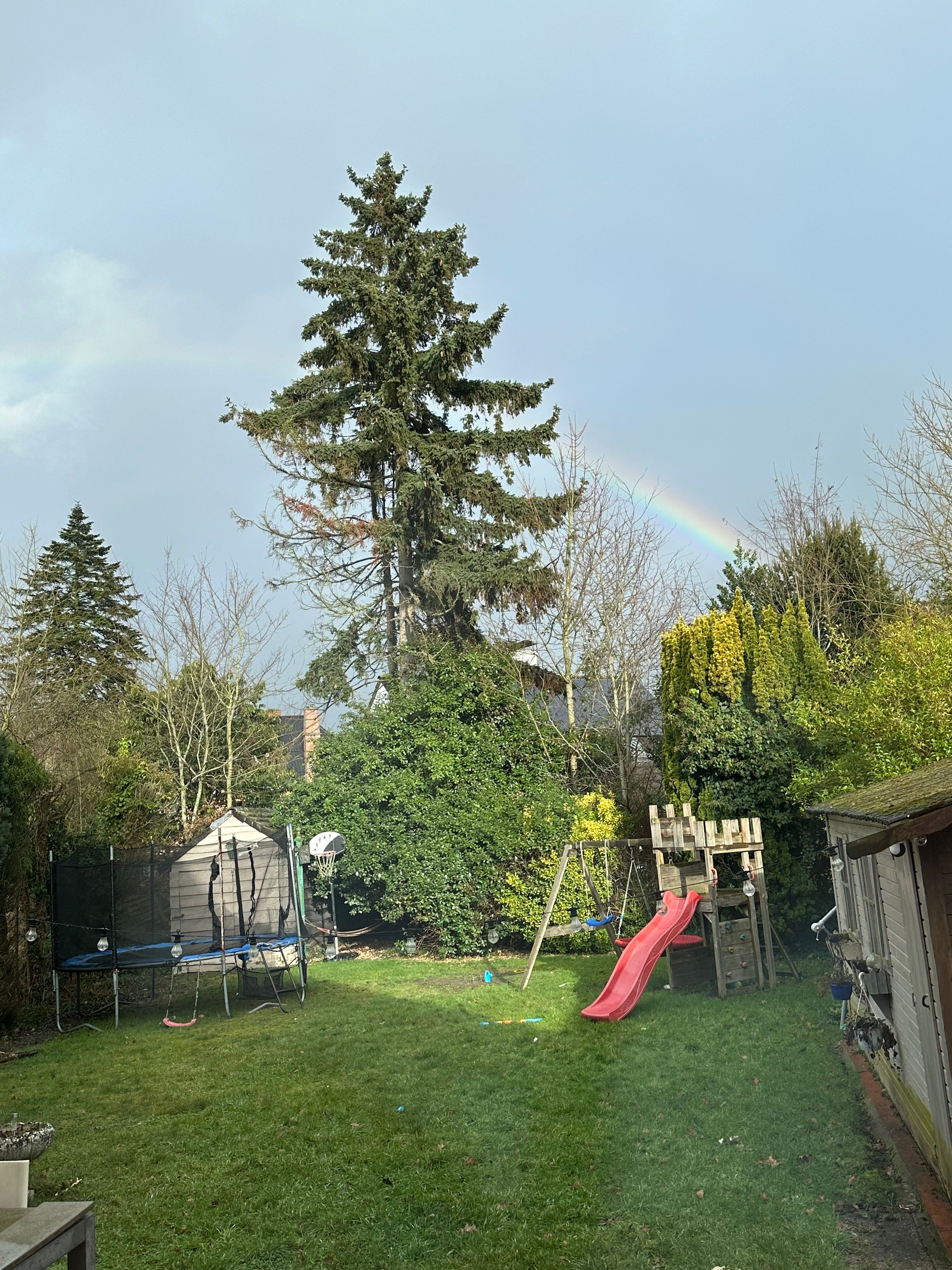 image-16