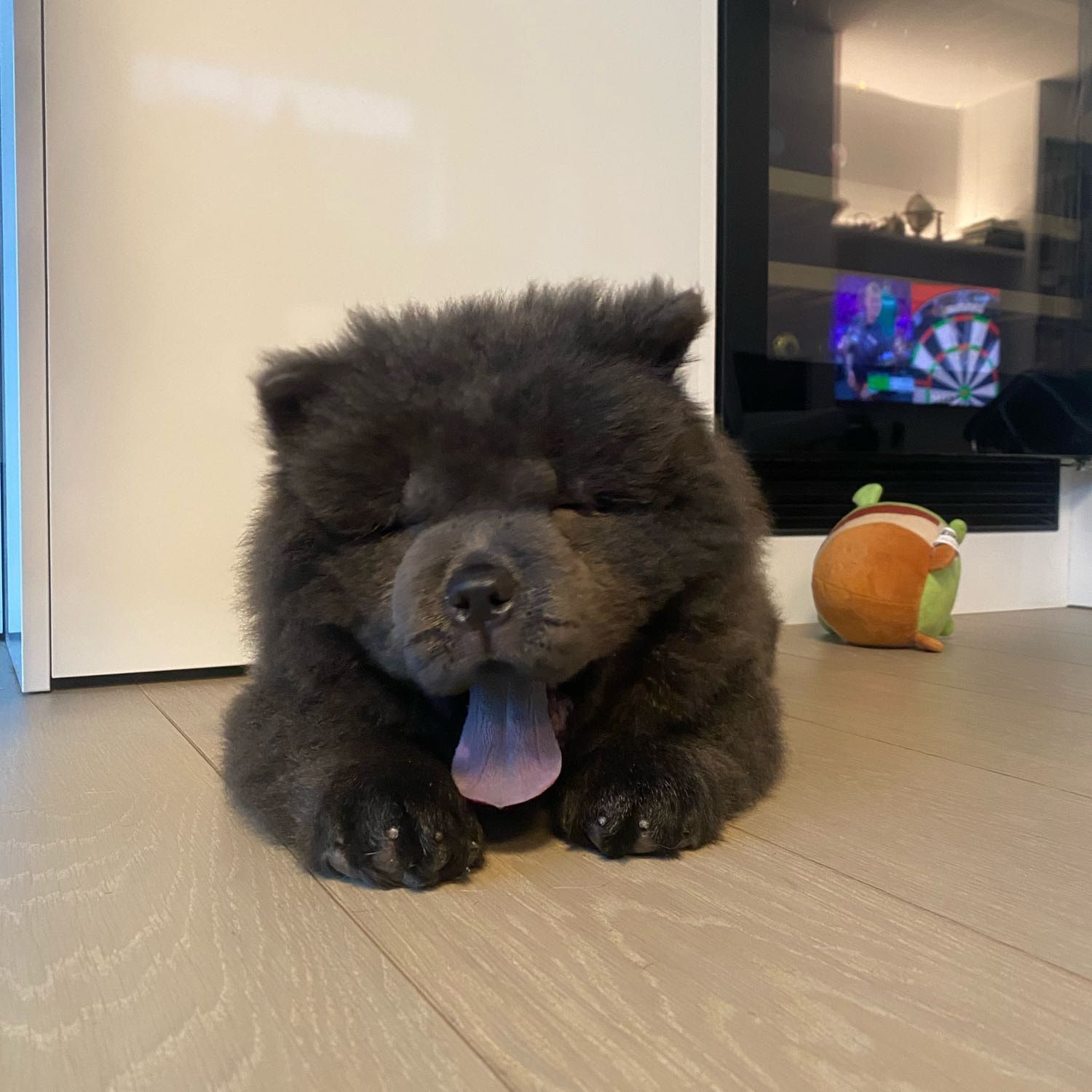 Balou