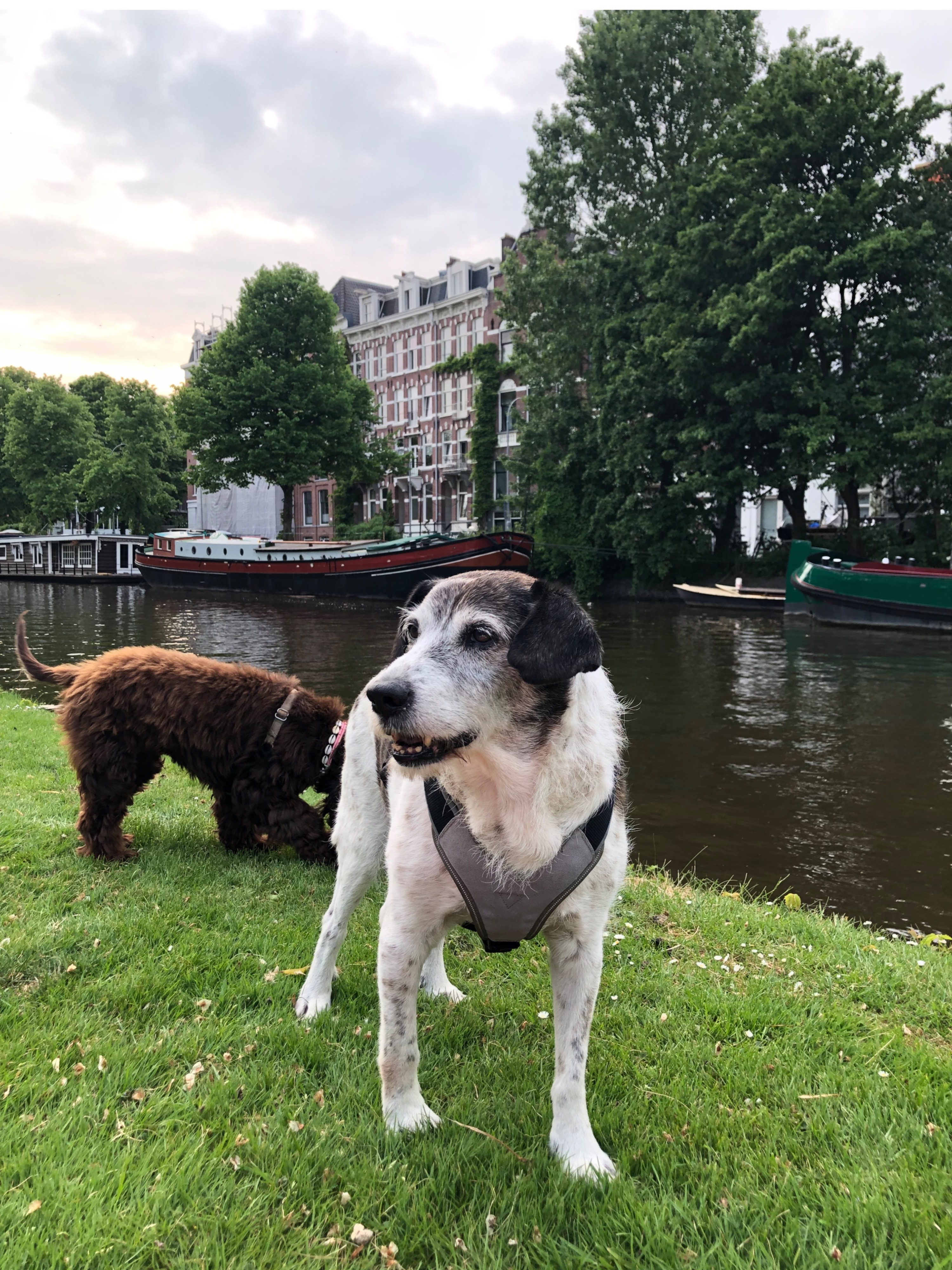 image-14