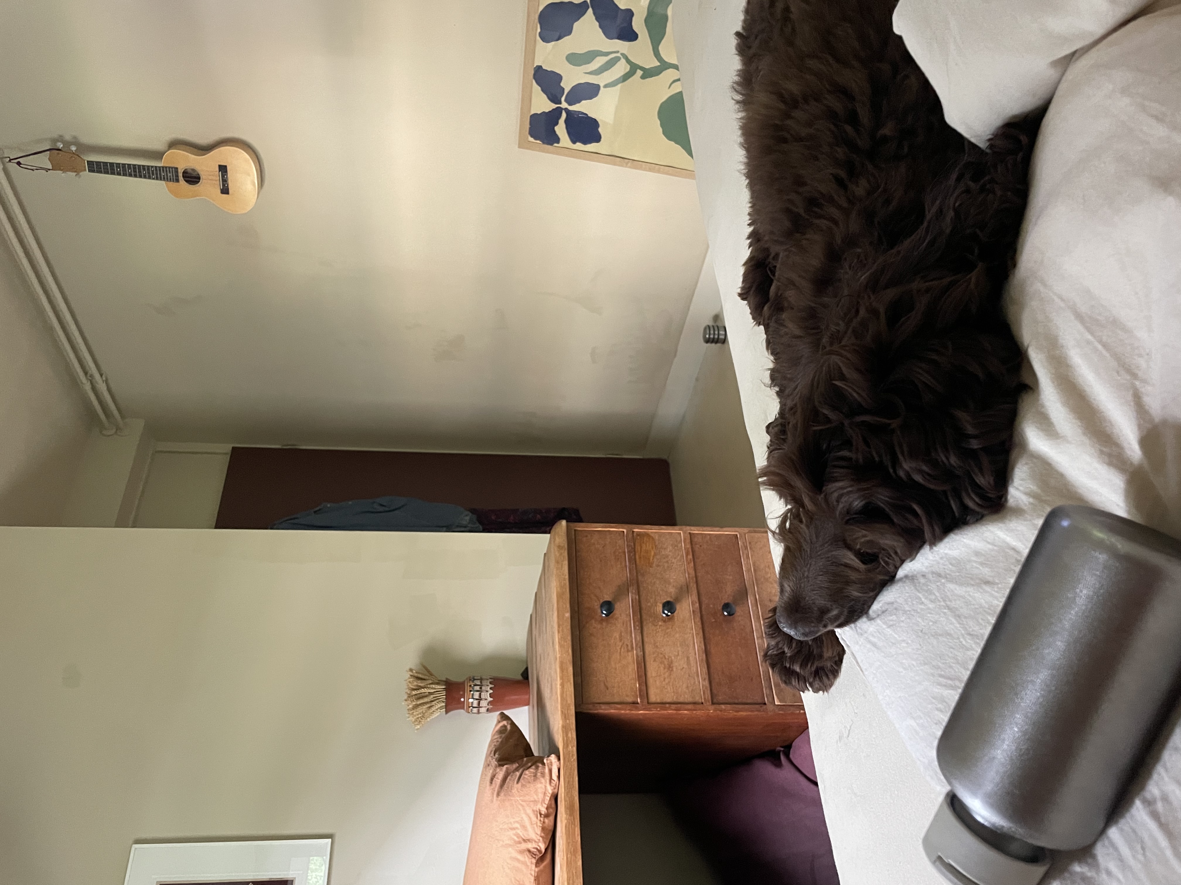 image-33