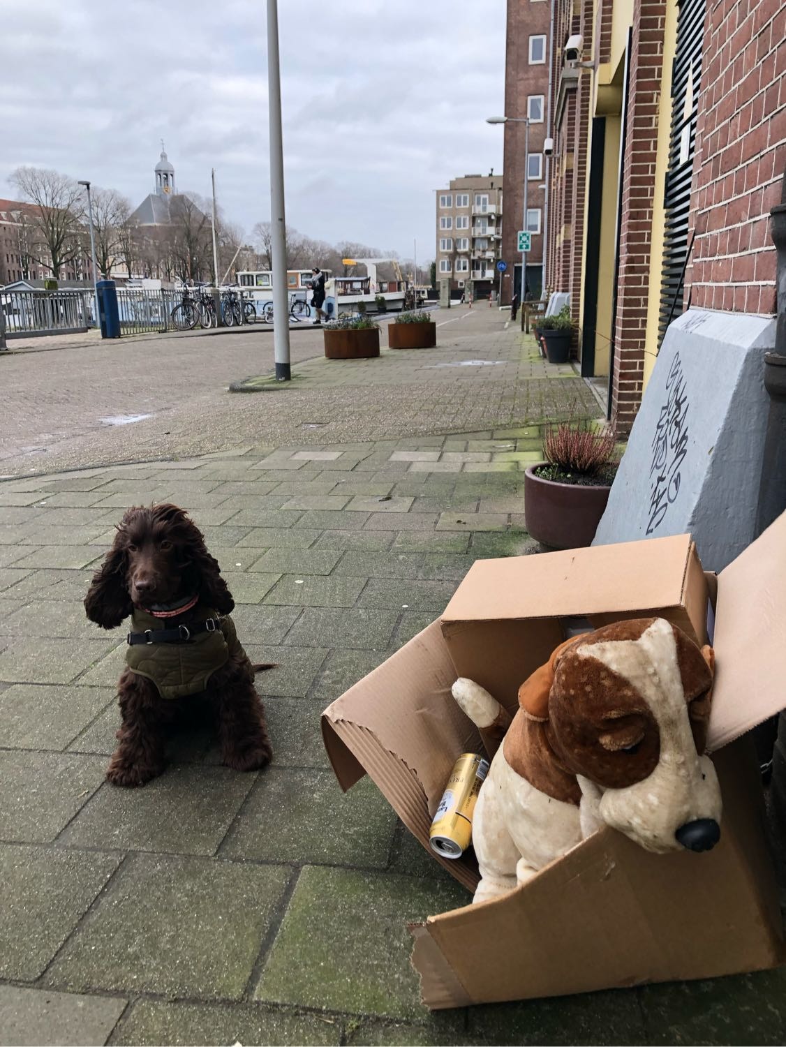 image-18