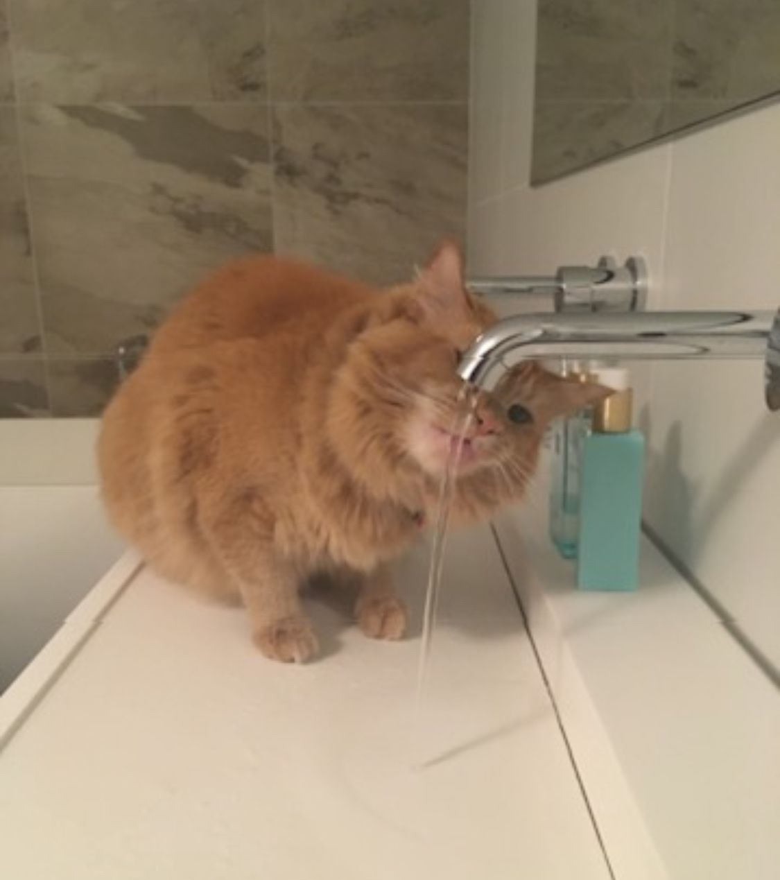 image-9