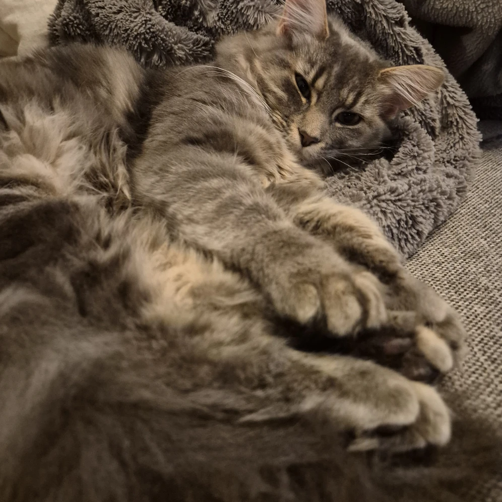 Skye