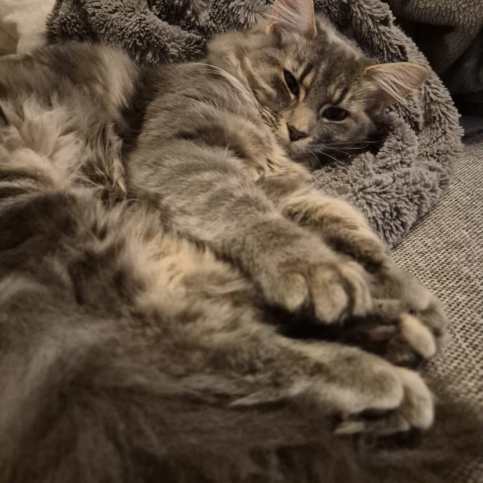 Skye