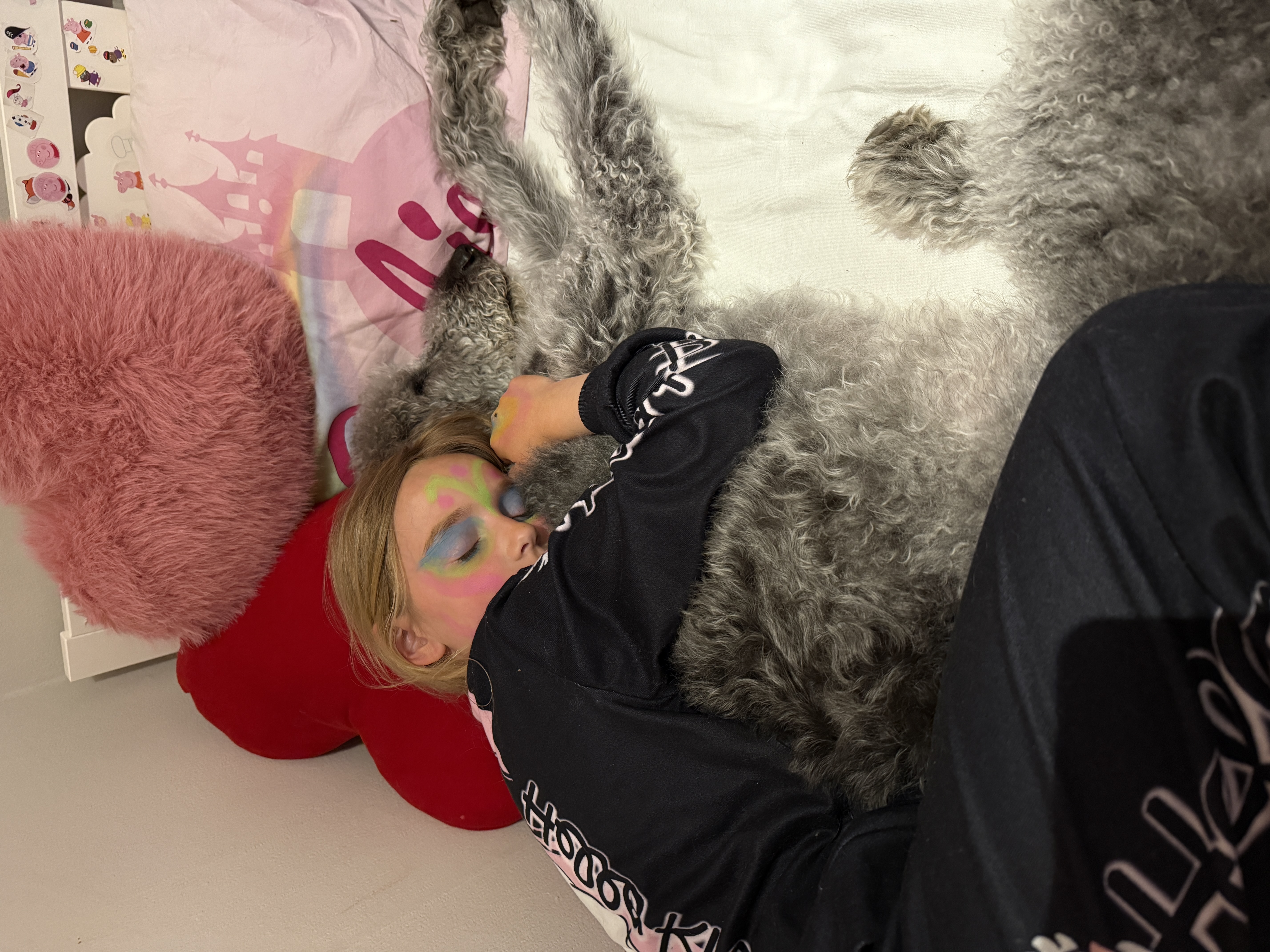 image-6