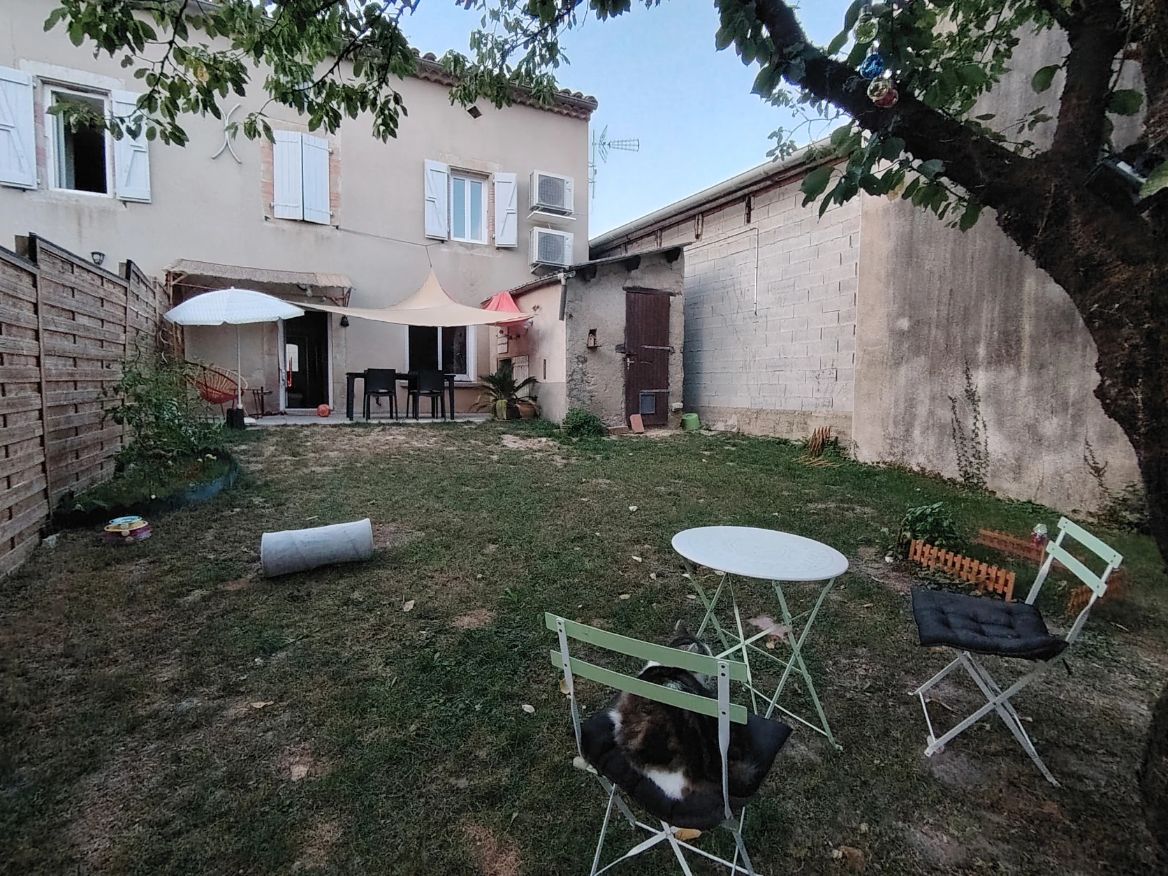 image-20