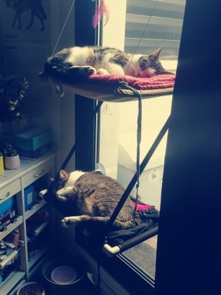 image-5