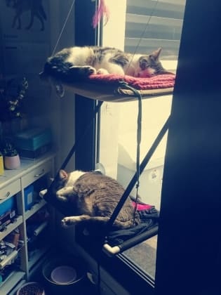 image-5