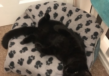 Walter