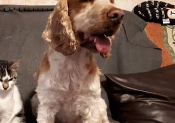 Charlie