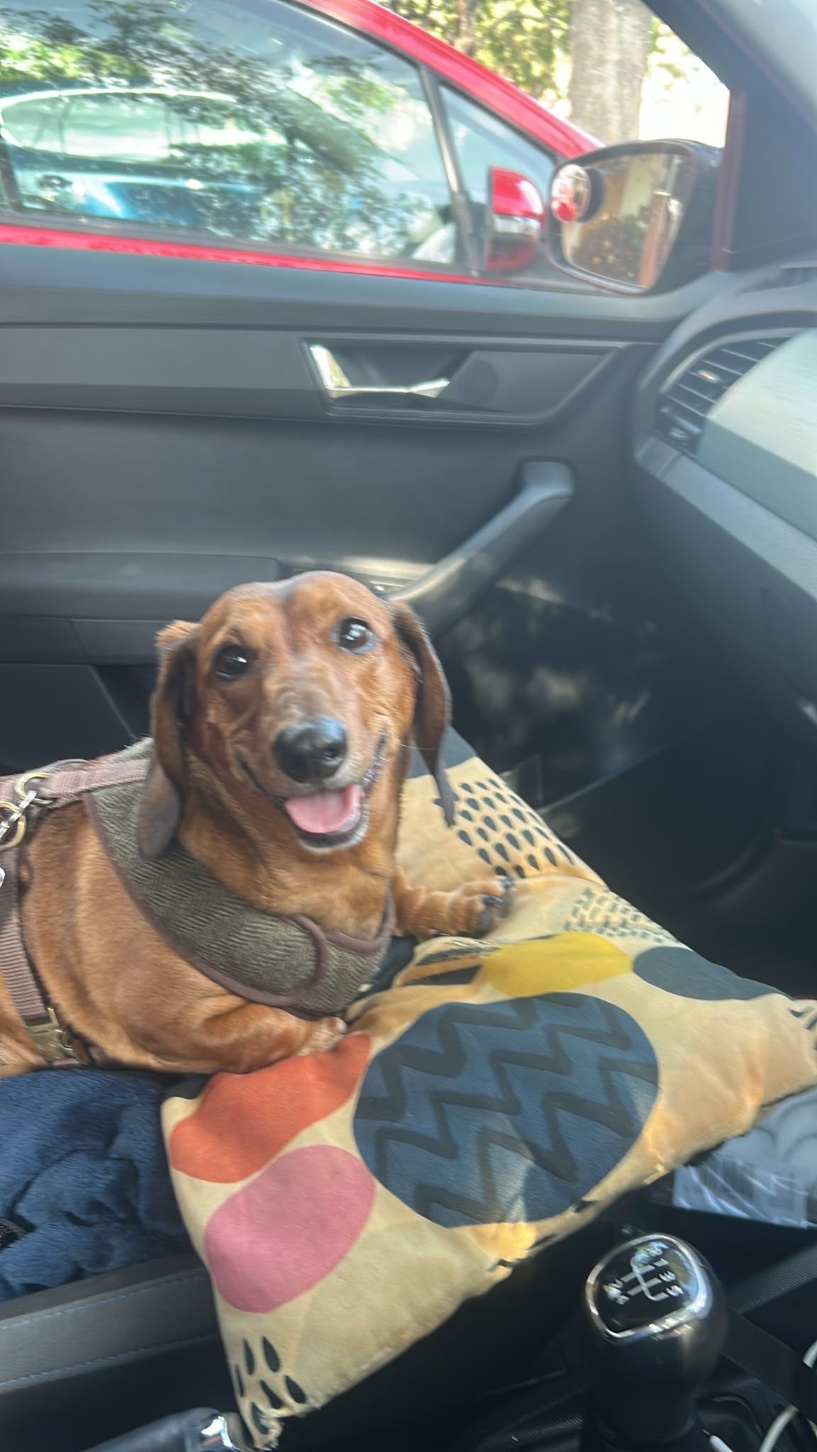 image-6