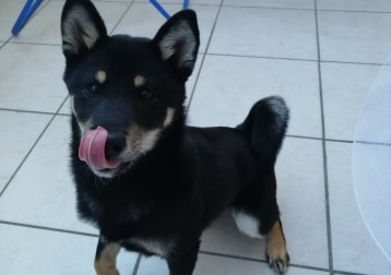 Yûko
