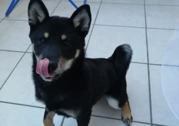 Yûko