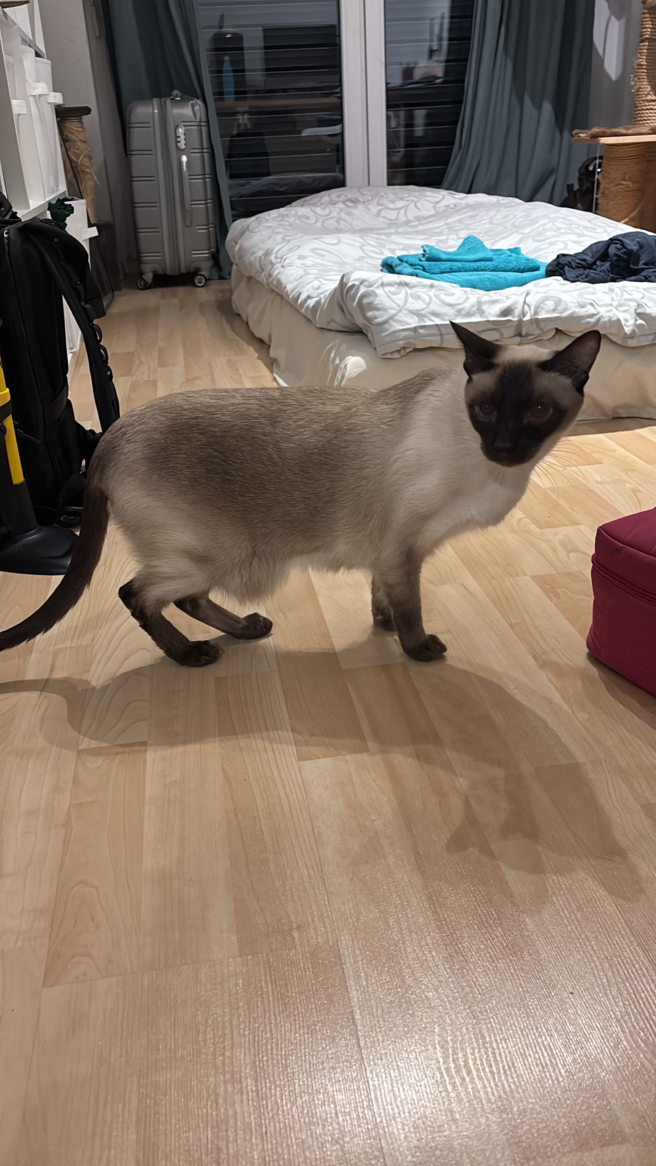 image-10
