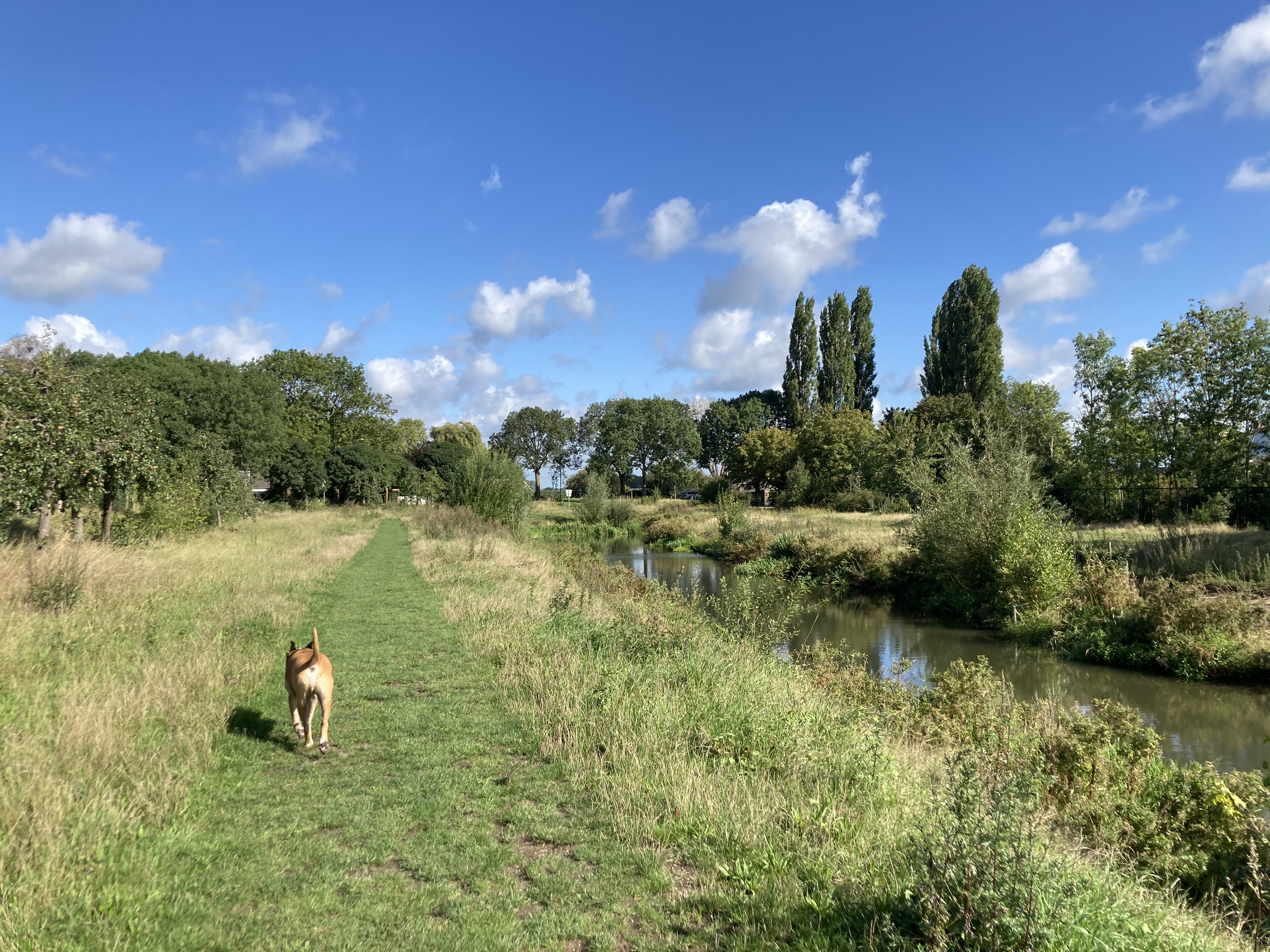 image-21