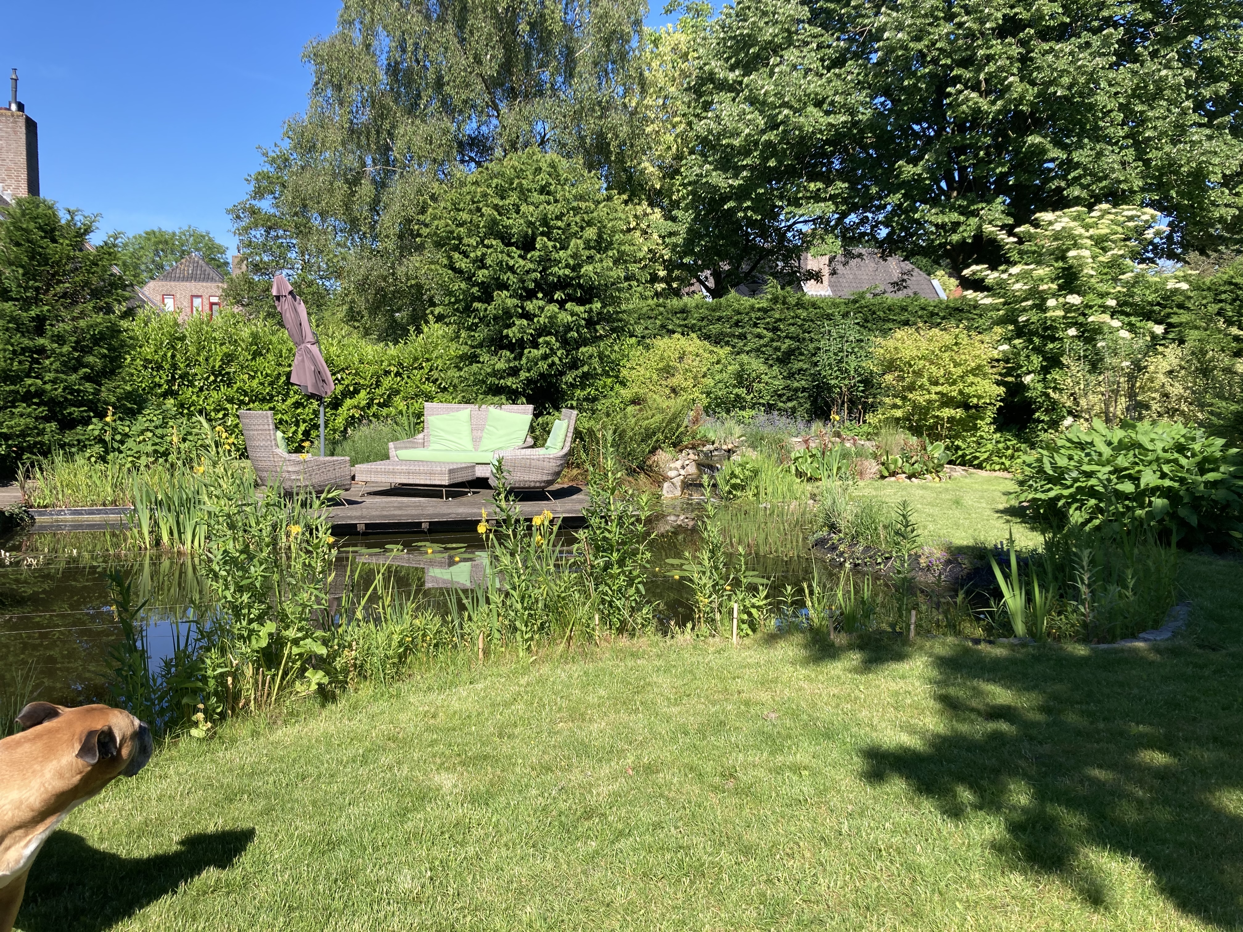 image-19