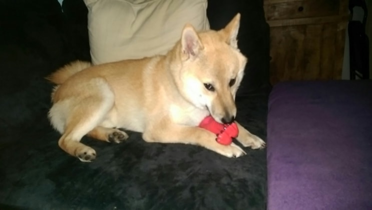 image-12