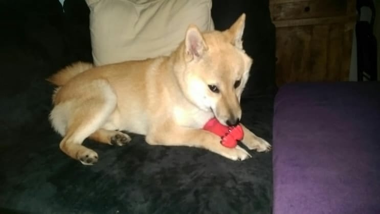 image-12