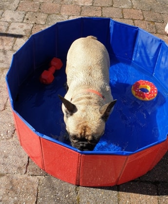 image-54