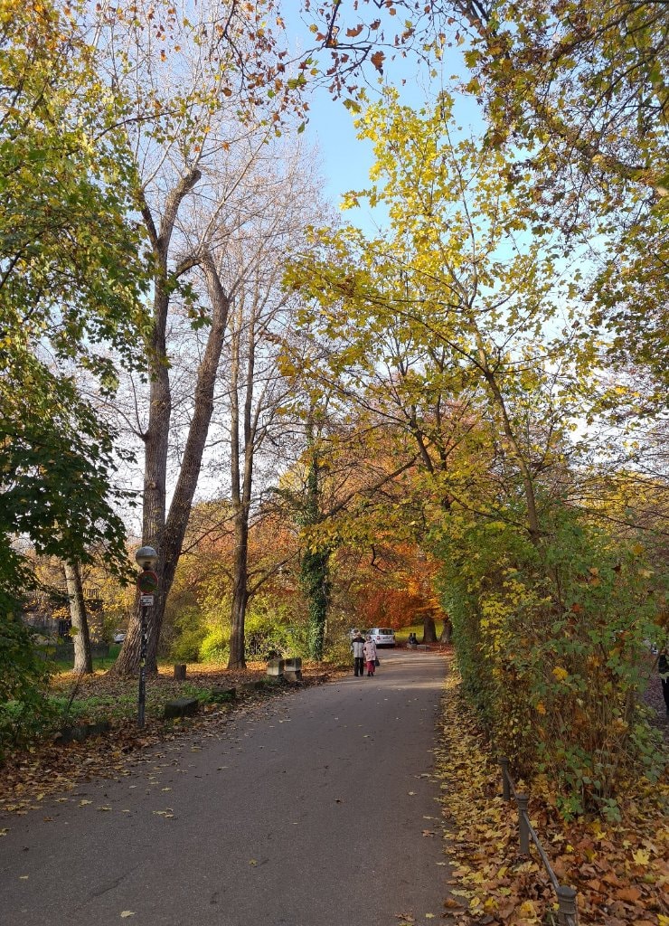 image-12