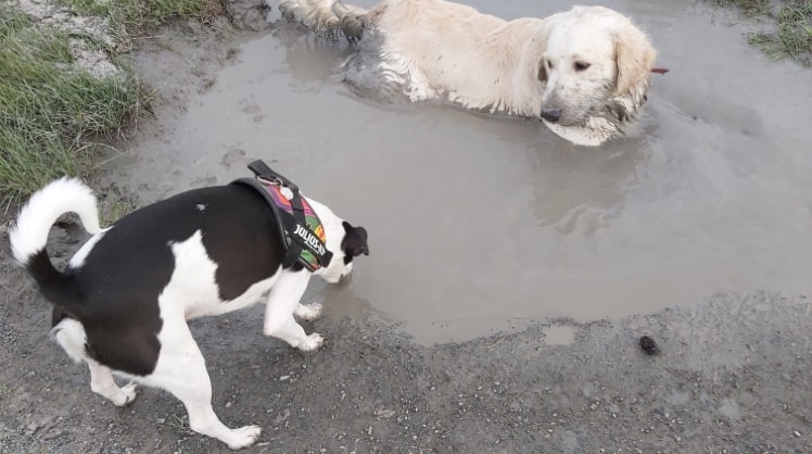image-0