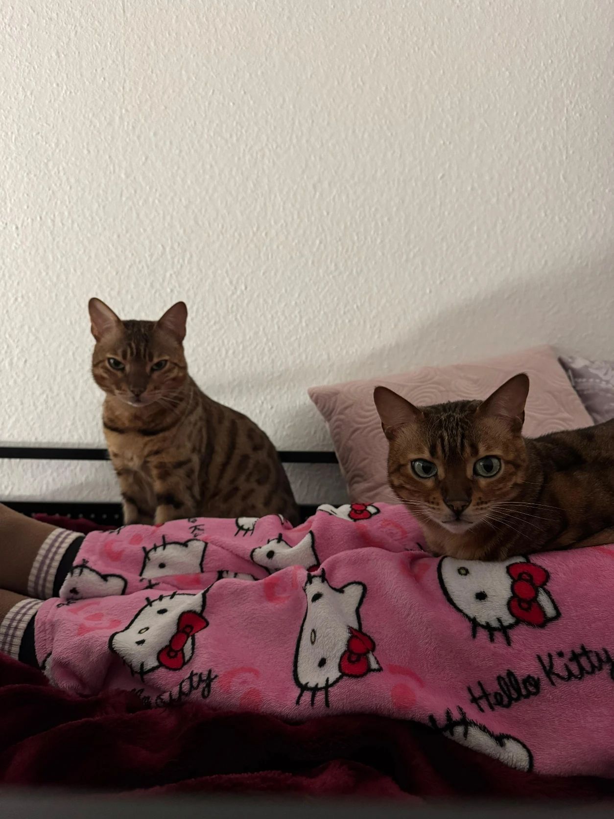 image-6