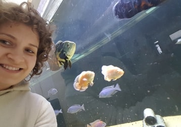 Oscar, Baby-oscar, Arya And Sansa