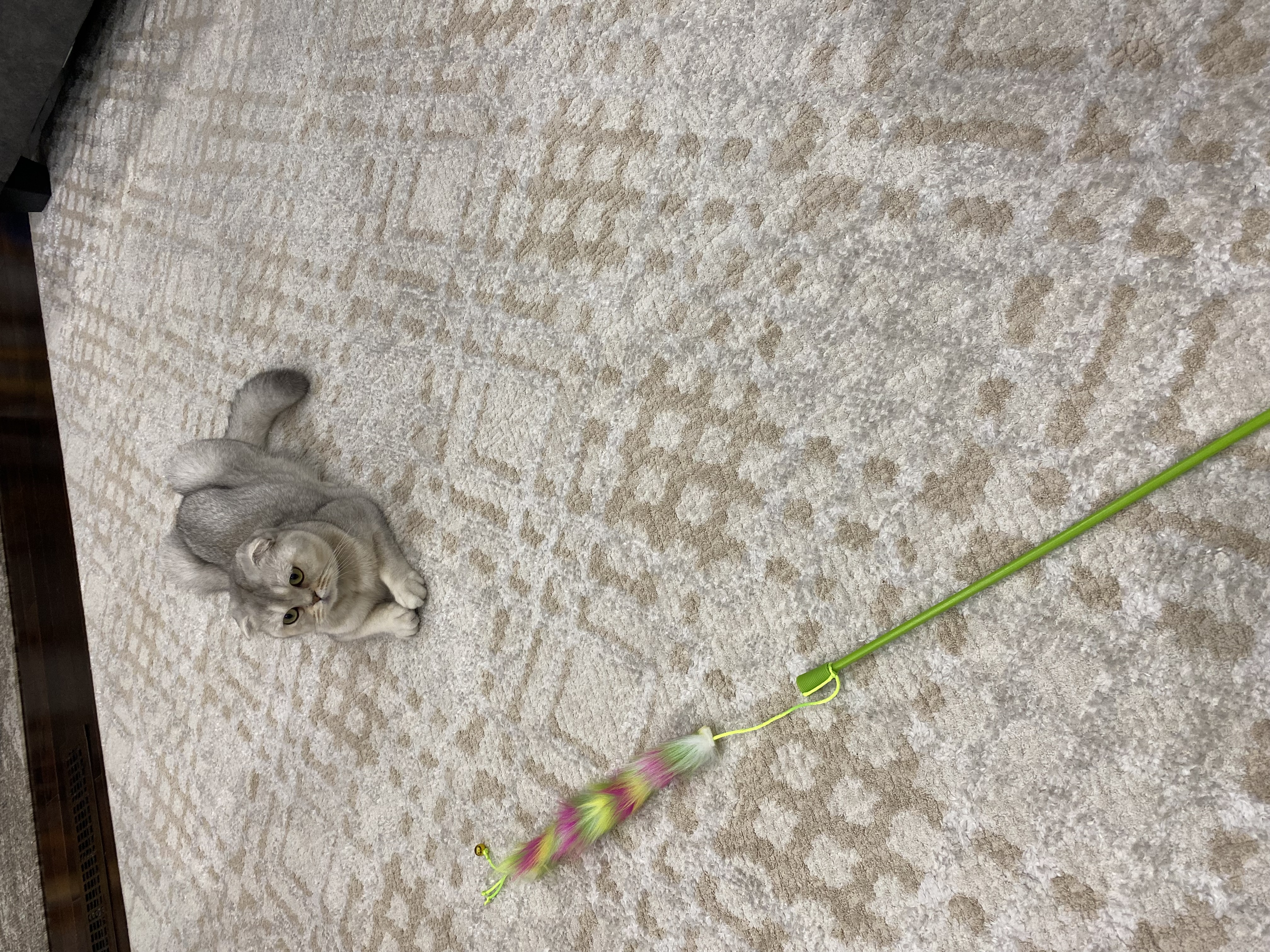 image-5