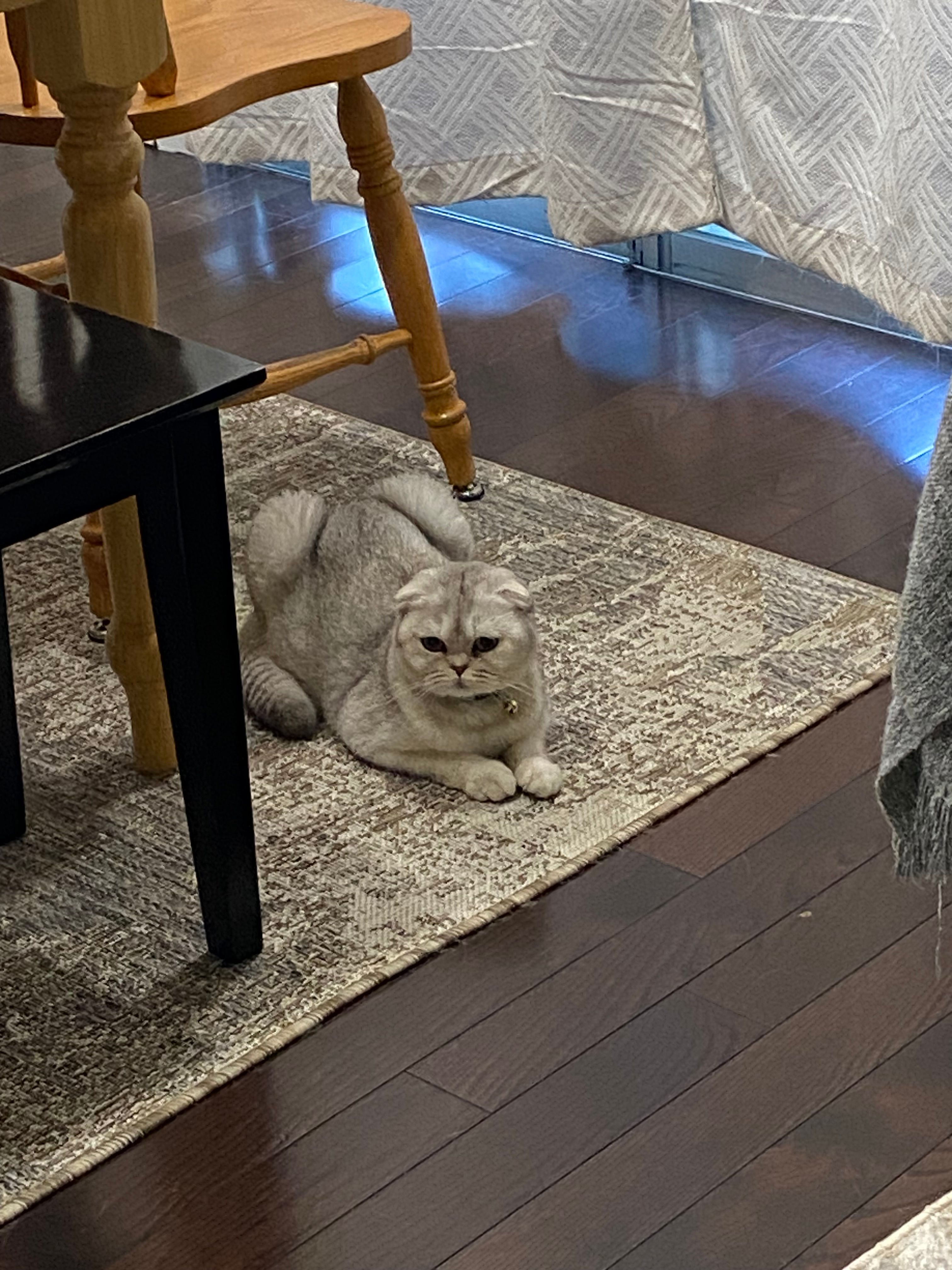 image-6