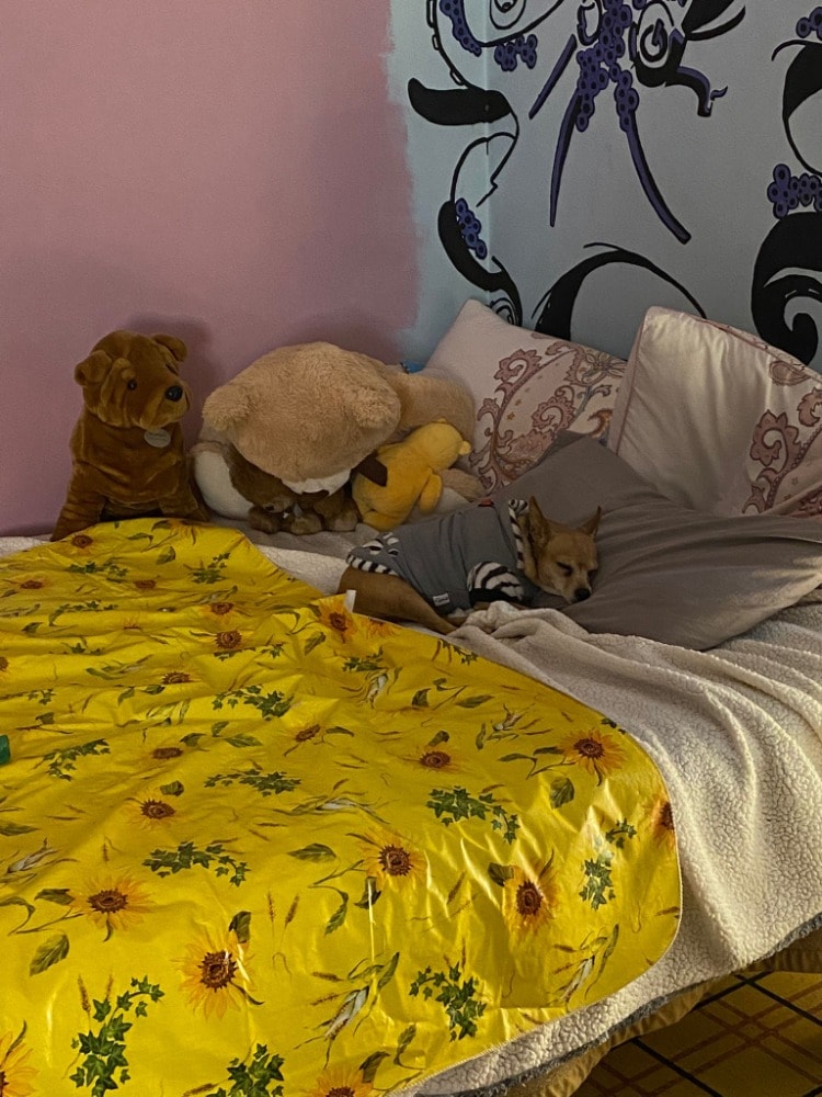 image-6