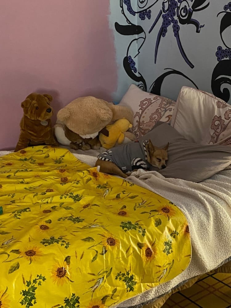 image-6
