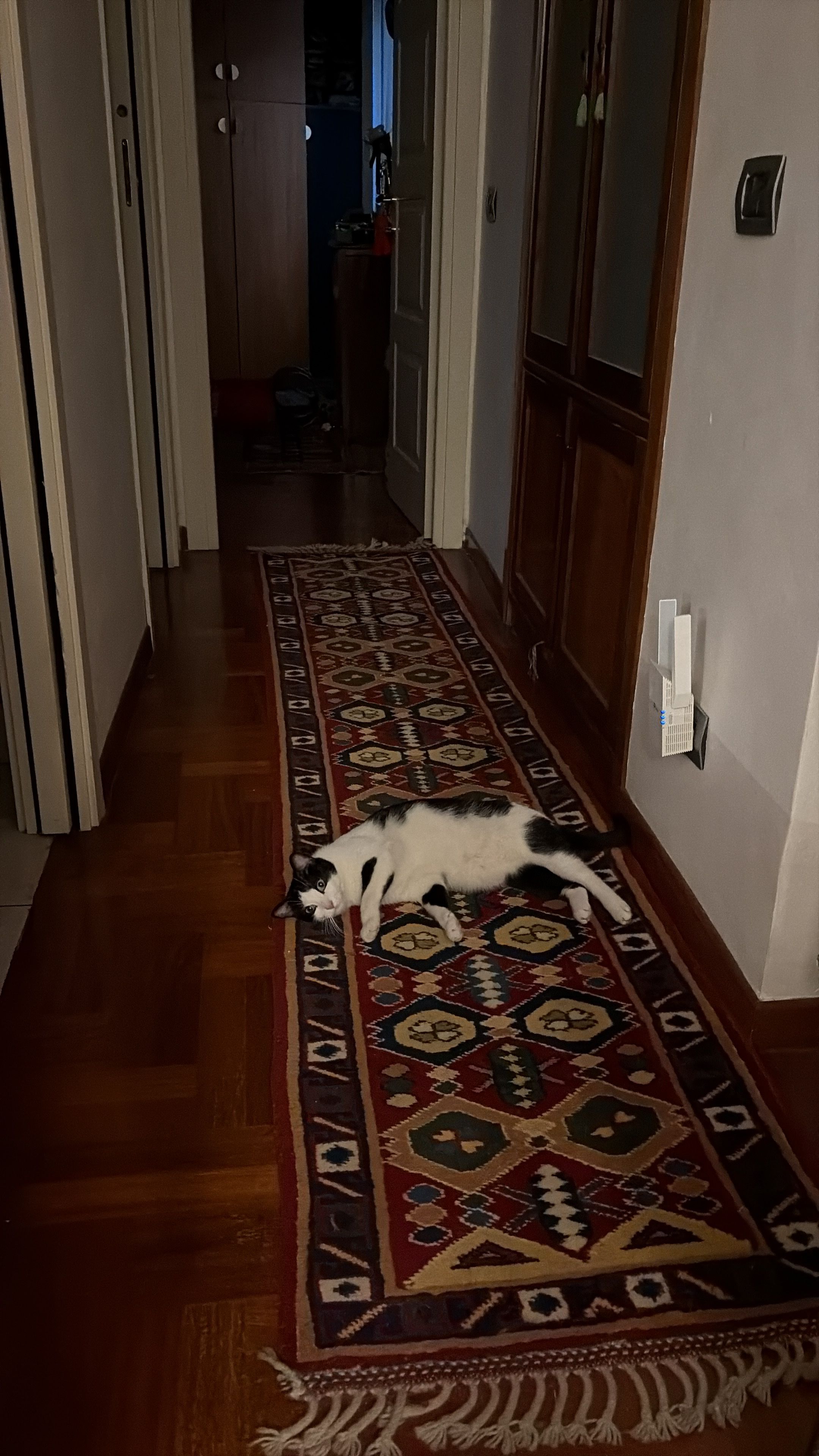 image-9