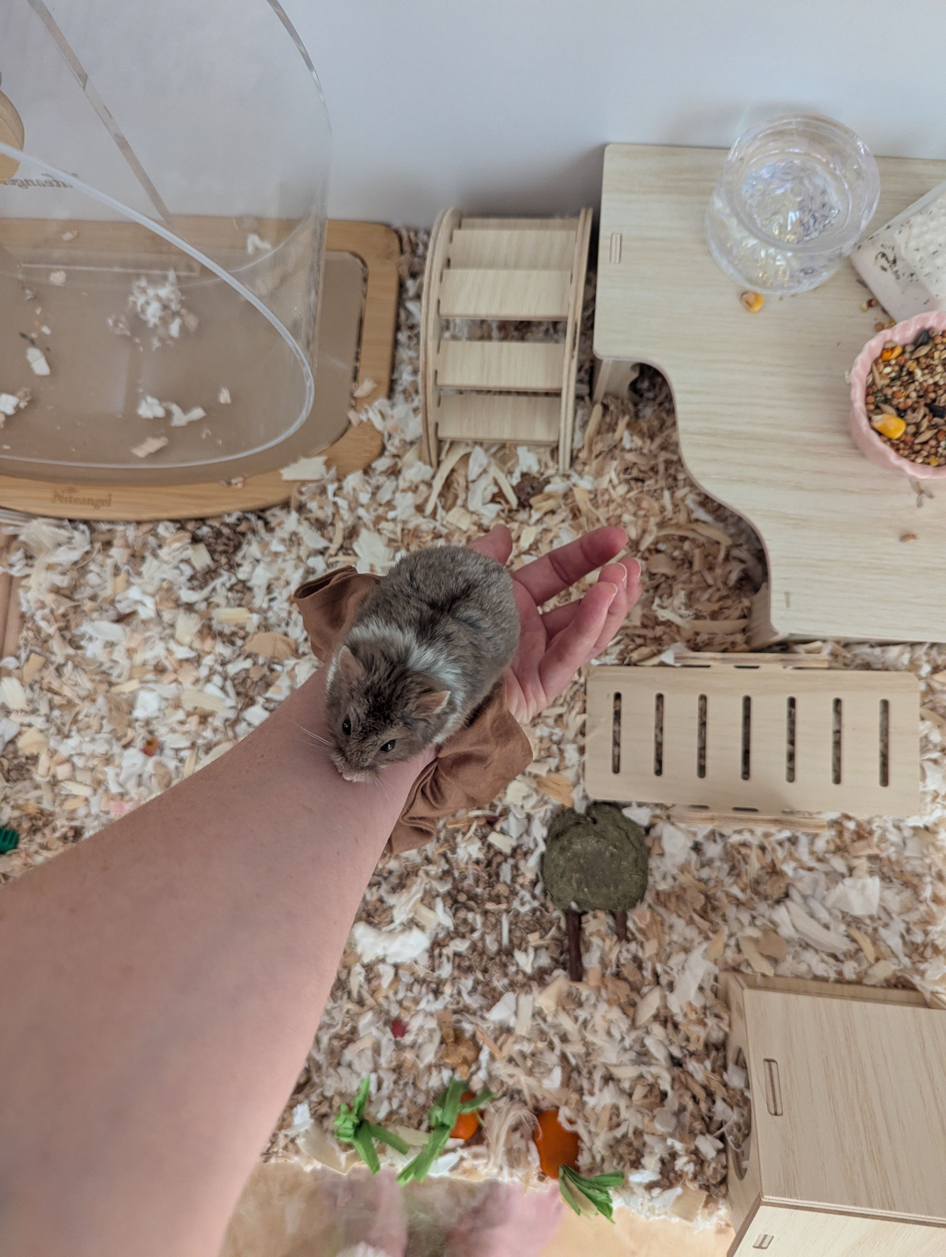 image-9