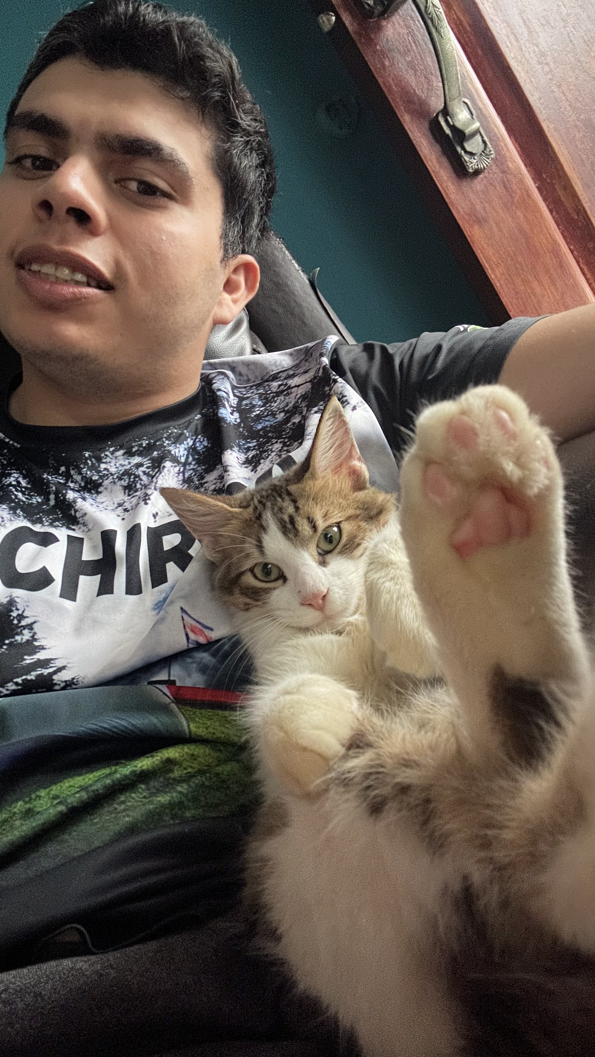 image-8