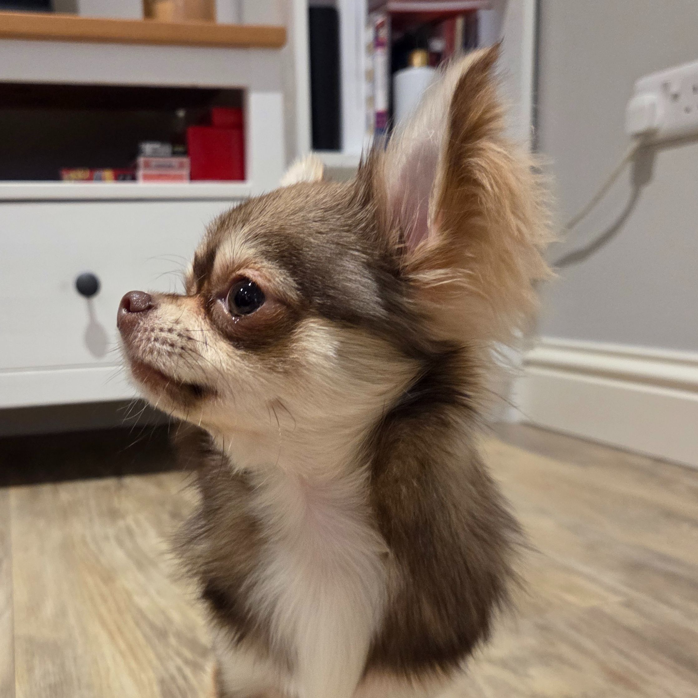 Pixel
