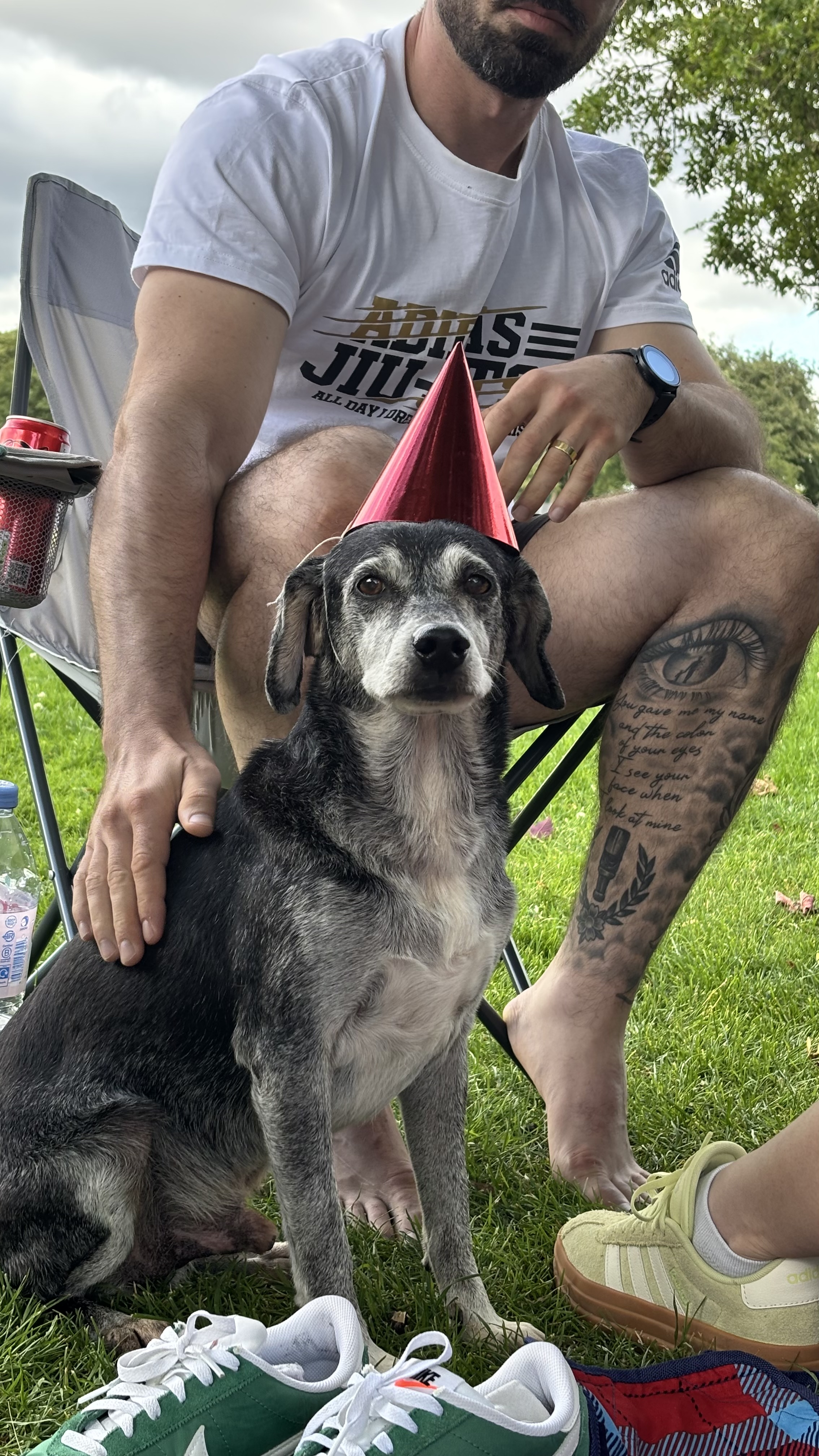 image-17