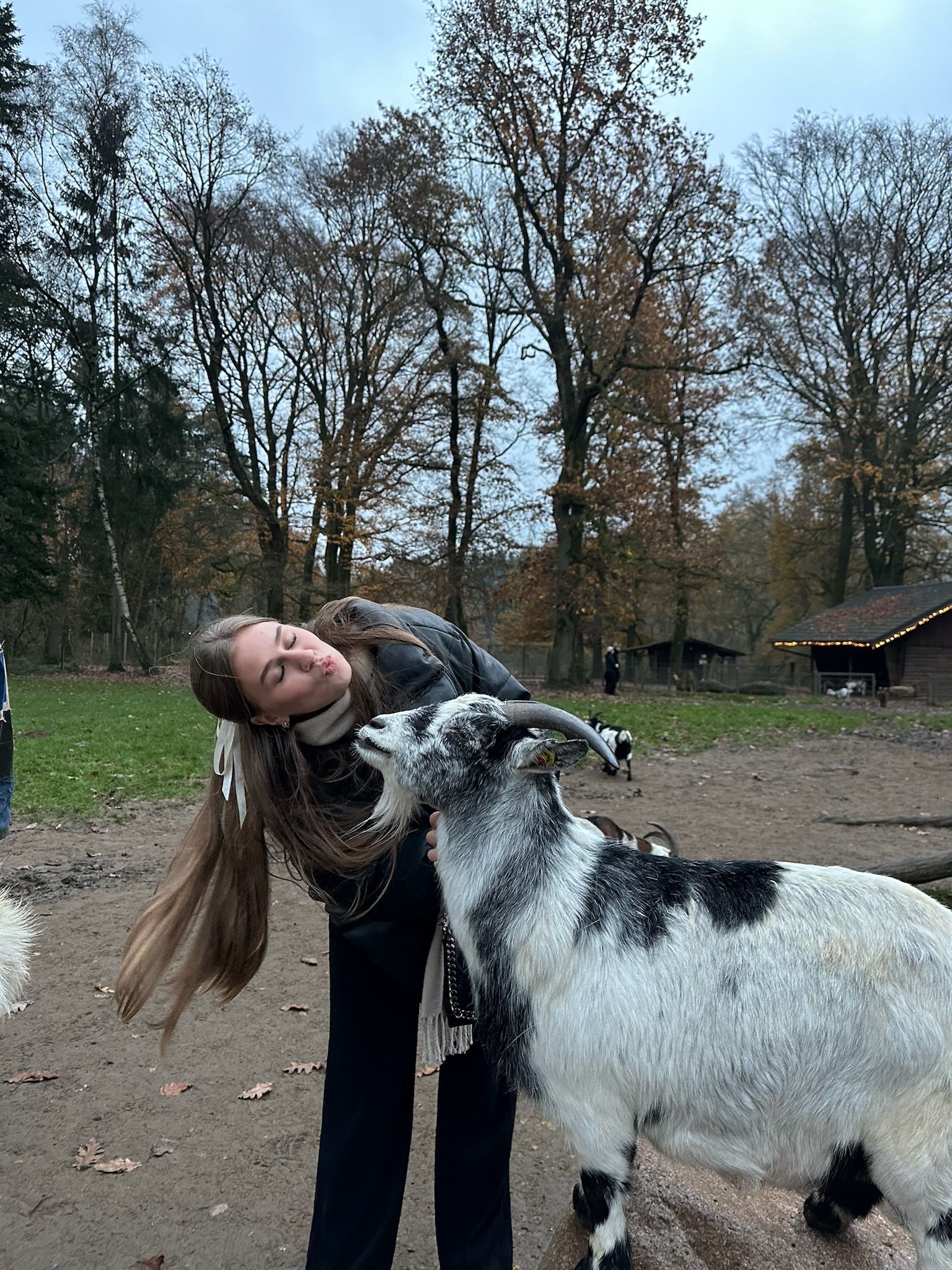 image-8
