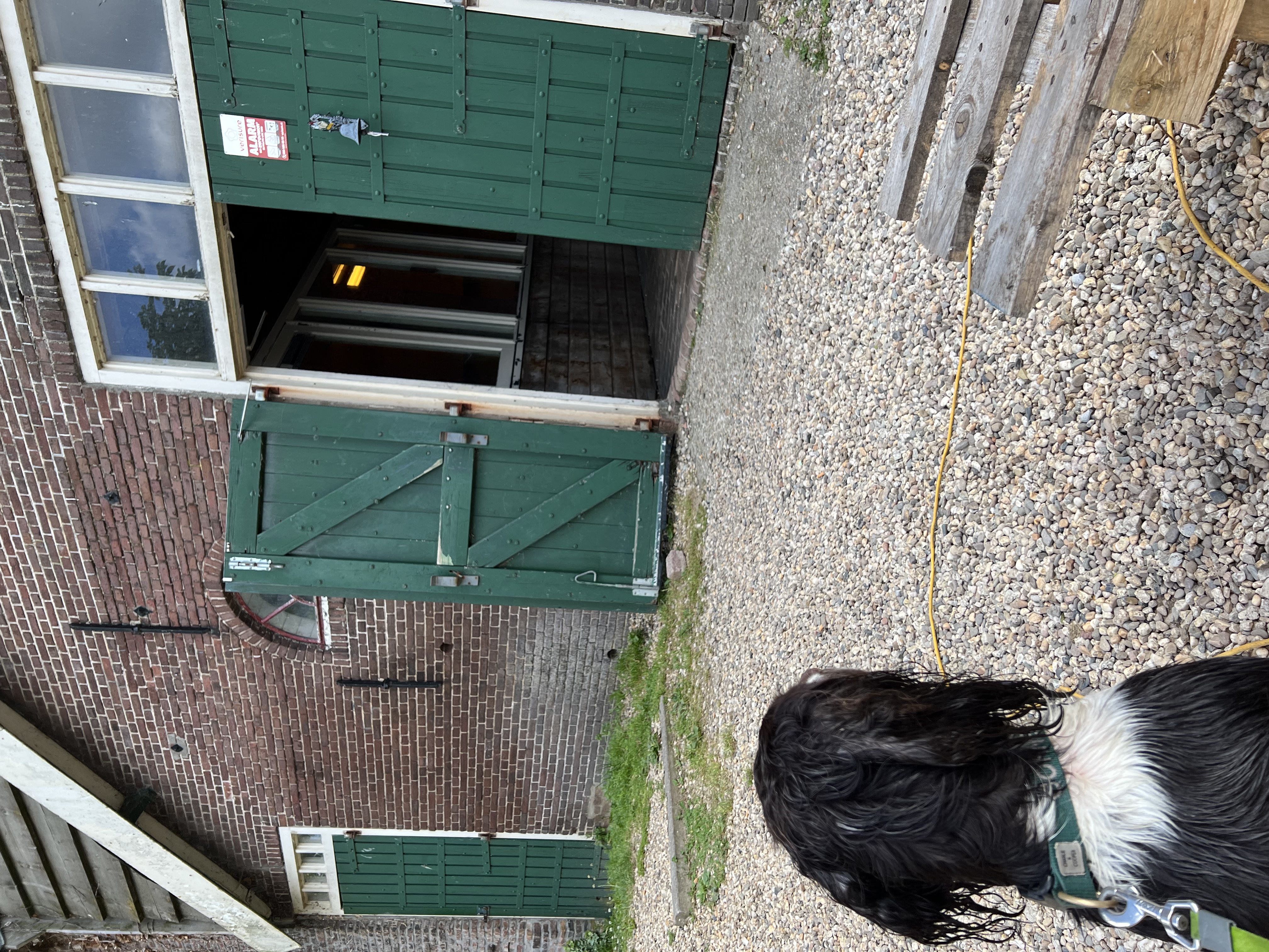 image-12