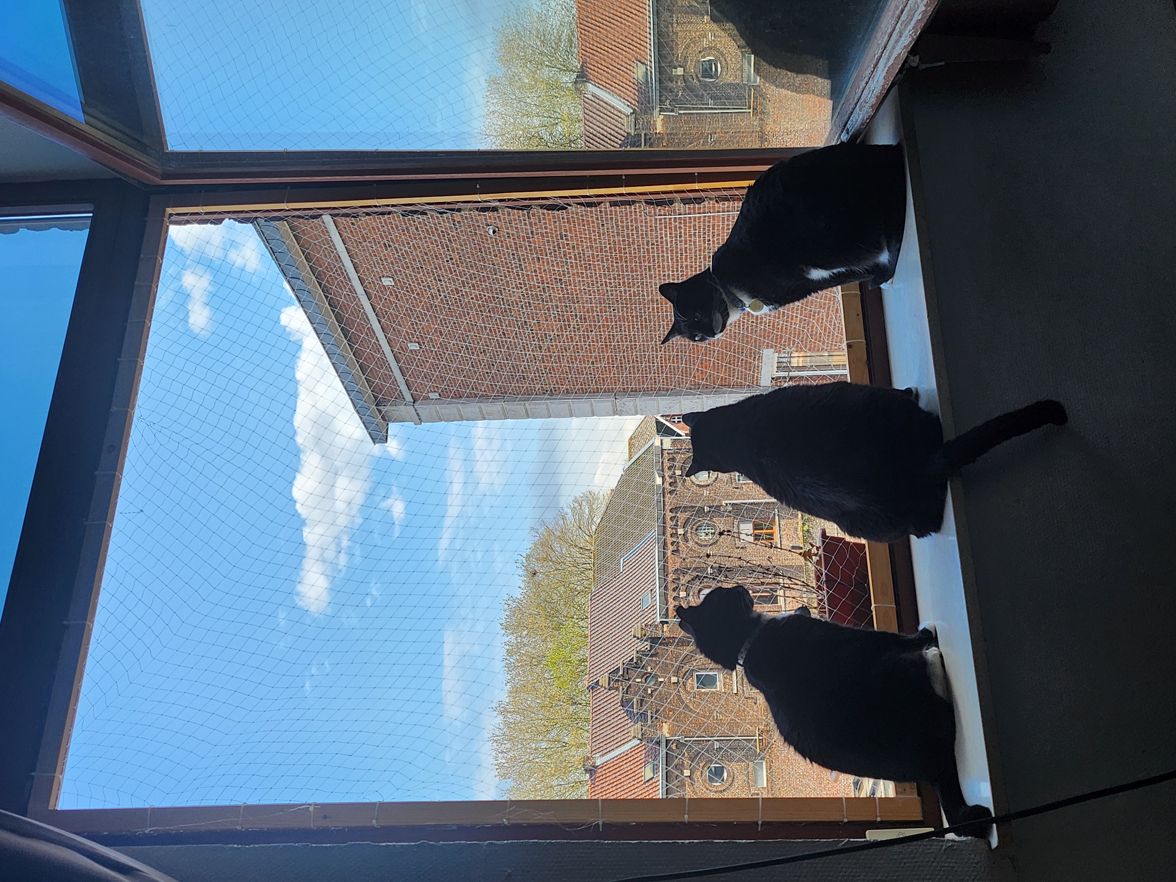 image-12