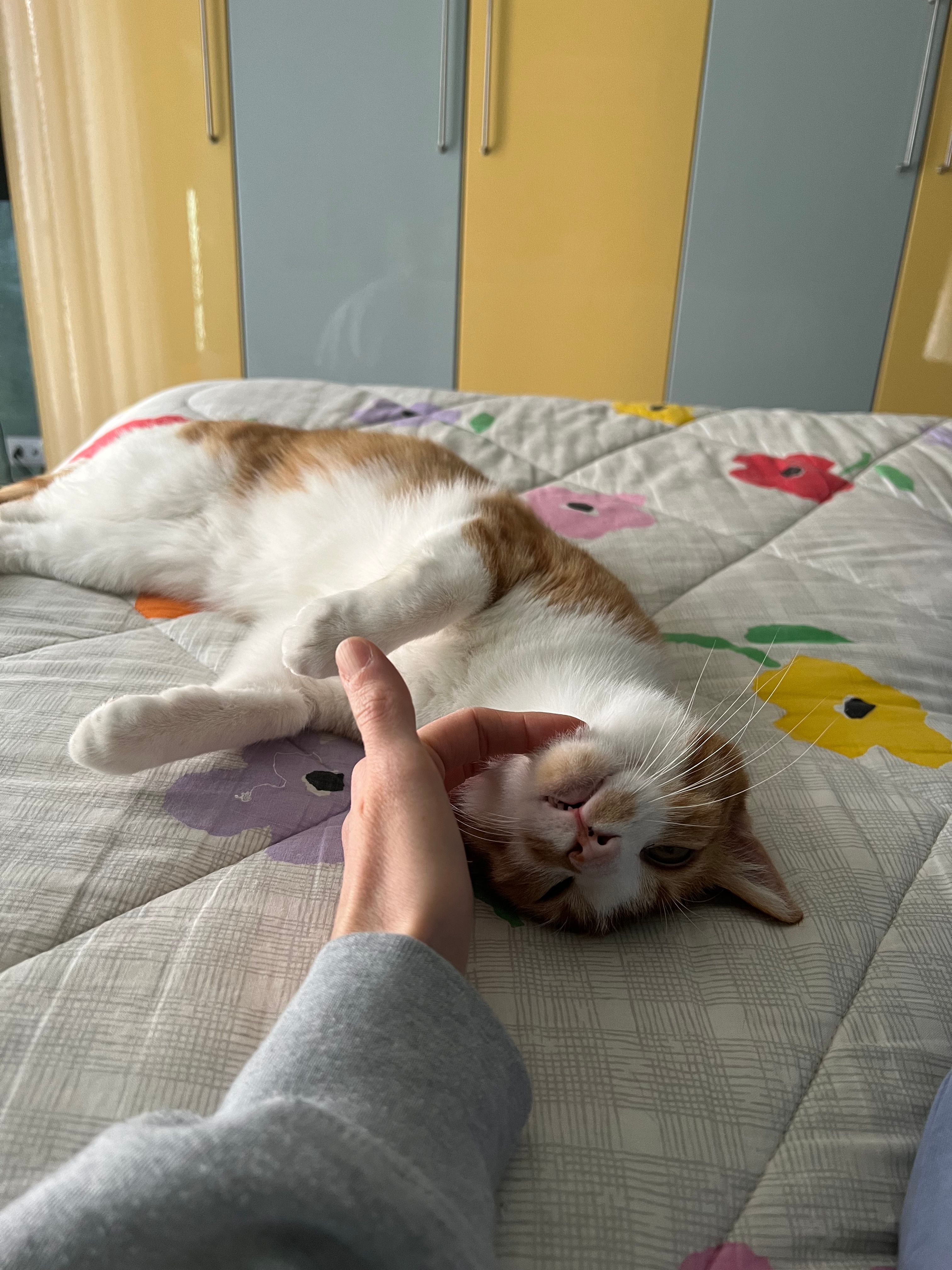 image-8